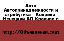 Авто Автопринадлежности и атрибутика - Коврики. Ненецкий АО,Красное п.